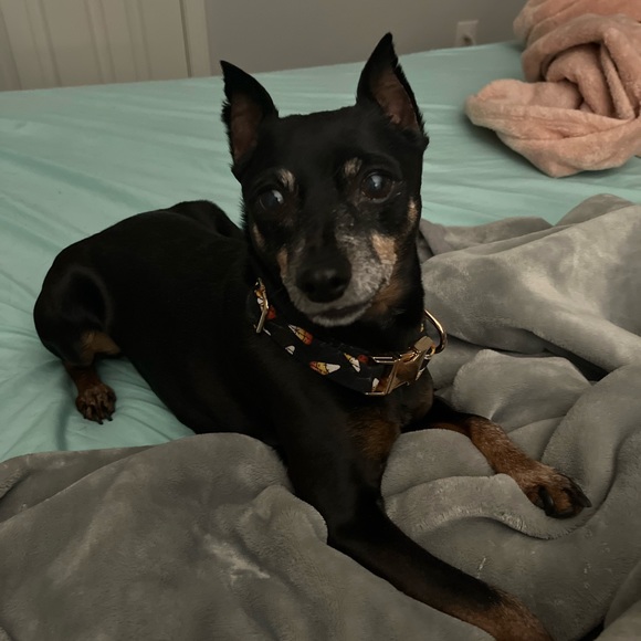 Meet your Posher, Regina - Picture 3 of 10